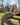 Girl with tall pants on