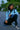 Black & Blue Longinus Sweat Set (Pre-Order)