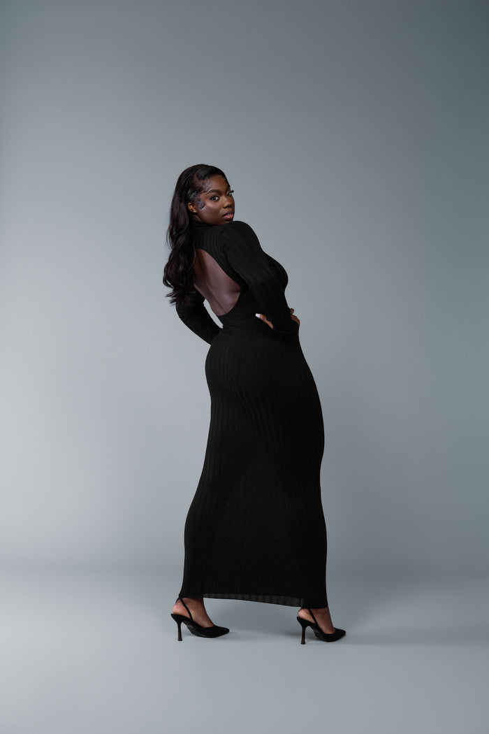 Arlene Long Sleeve Backless Maxi Dress