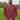 A tall and slim man standing in a park. The smiling model is wearing a dark orange long-sleeve tall t-shirt. The tall dark orange long-sleeve t-shirt features a 2.5" longer sleeves, 100% organic cotton, and is soft & preshrunk. The dark orange long-sleeve t-shirt is ideal for tall slim men 6'2"+.