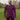 A tall athletic guy wearing a long sleeve dark purple tall t-shirt and smiling in a park while looking to the left.