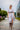 MADE TO ORDER Midi Dress Sofia Midi